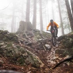 Norco Sight VLT C2 (29) 2020