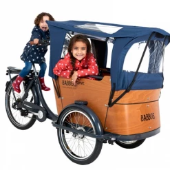 Cargo And Electric Trikes Babboe Curve Cargo Bike - High Torque Bafang Mid-Drive Conversion