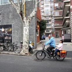 Cargo And Electric Trikes EZee Expedir Classic 9 Speed Mid Tail Cargo Bike