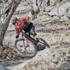 EZesty AM 9.0 Lapierre