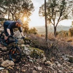 EZesty AM LTD Lapierre EMTB Step Over