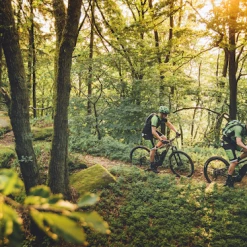 Merida EBIG NINE 600 Emtb 2021