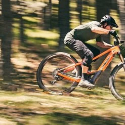 Orbea Wild FS M10 10 Orbea Wild FS M10