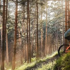 Orbea Wild FS M10 13 Orbea Wild FS M10