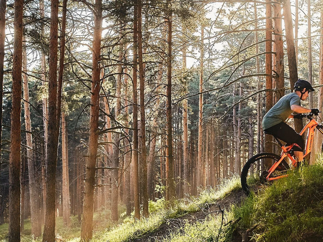 Orbea Wild FS M10 8 Orbea Wild FS M10