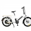 Eunorau Max Rear Hub Drive Cargo Electric Bike 1 Eunorau Max Rear Hub Drive Cargo Electric Bike