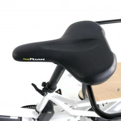 Eunorau Max Rear Hub Drive Cargo Electric Bike 12 Eunorau Max Rear Hub Drive Cargo Electric Bike