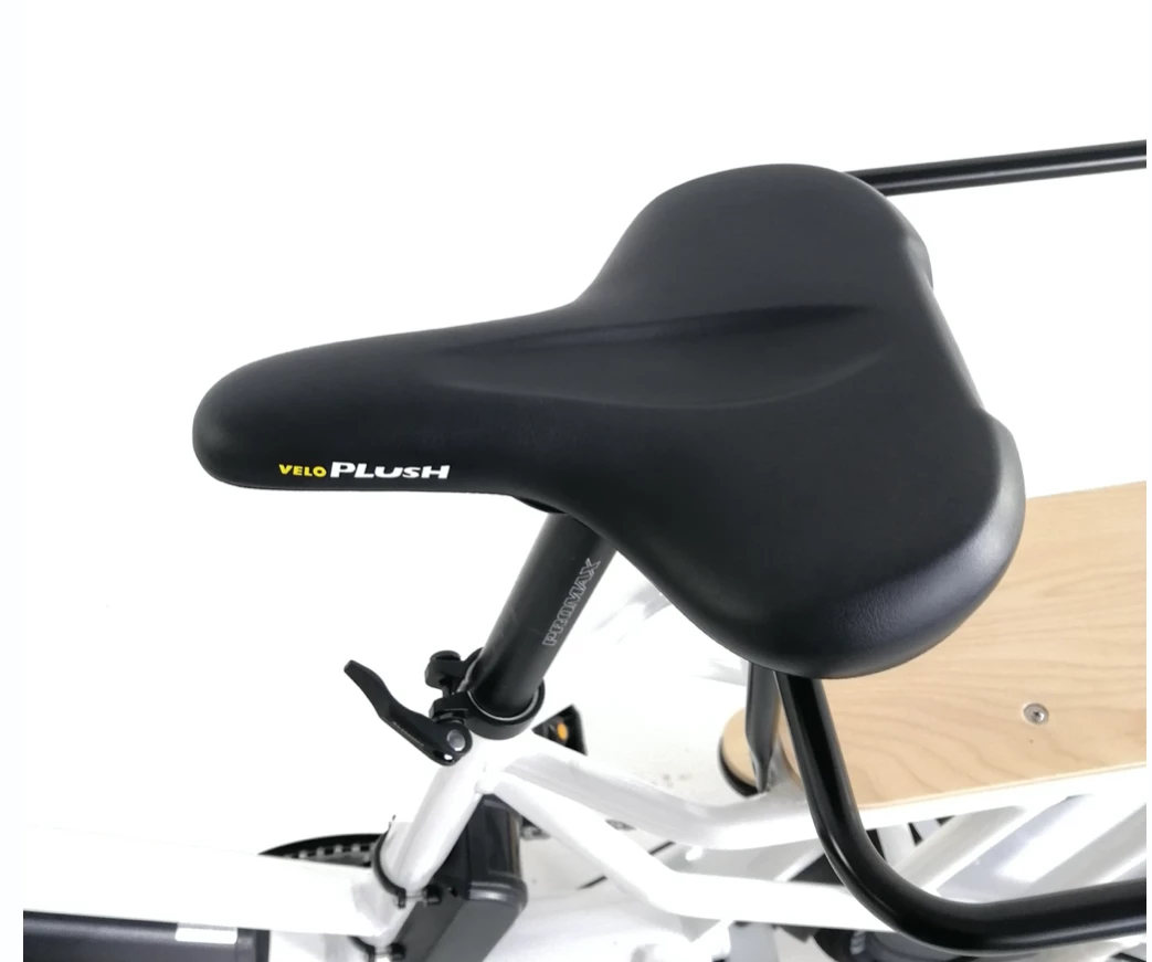 Eunorau Max Rear Hub Drive Cargo Electric Bike 6 Eunorau Max Rear Hub Drive Cargo Electric Bike