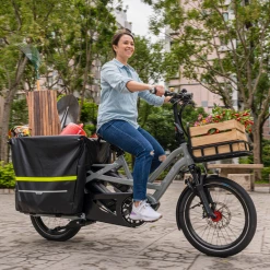 Cargo And Electric Trikes TERN GSD R14 2021 500WH