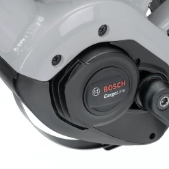 Cargo And Electric Trikes TERN GSD R14 2021 500WH