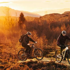 FOCUS THRON² 6.8 2022