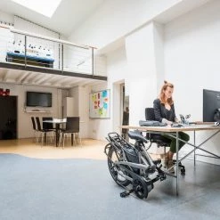 TERN VEKTRON S10 PERFORMANCE Folding And Compact Ebikes