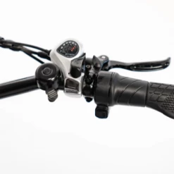 Vamos Papa Grande Trike Cargo And Electric Trikes