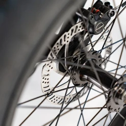 Vamos Papa Grande Trike Cargo And Electric Trikes