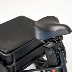 Vamos Papa Grande Trike Cargo And Electric Trikes