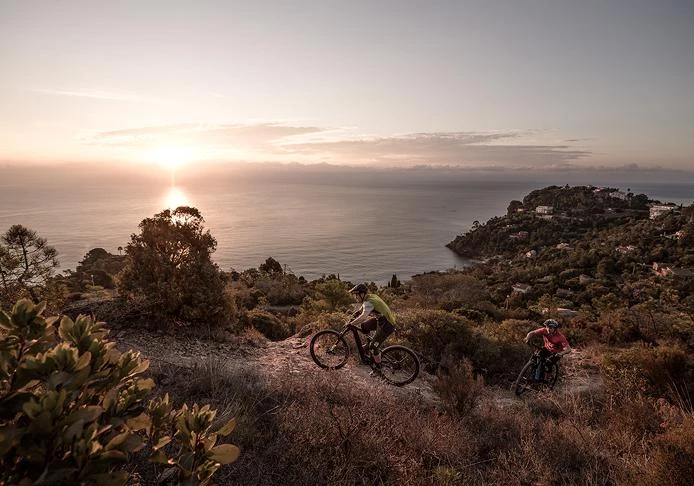 Not Specified Focus JAM² 6.8 NINE BOSCH CX 2021 6 Not Specified Focus JAM² 6.8 NINE BOSCH CX 2021